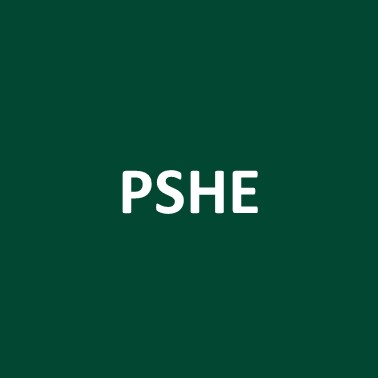 PSHE Curriculum Map - Click to download